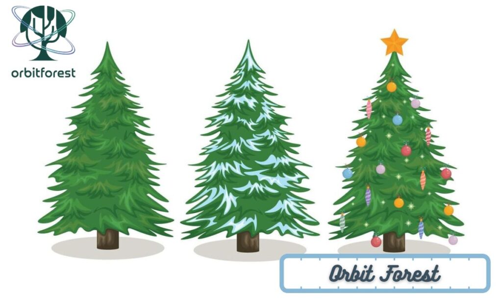 1. 2 Christmas Trees