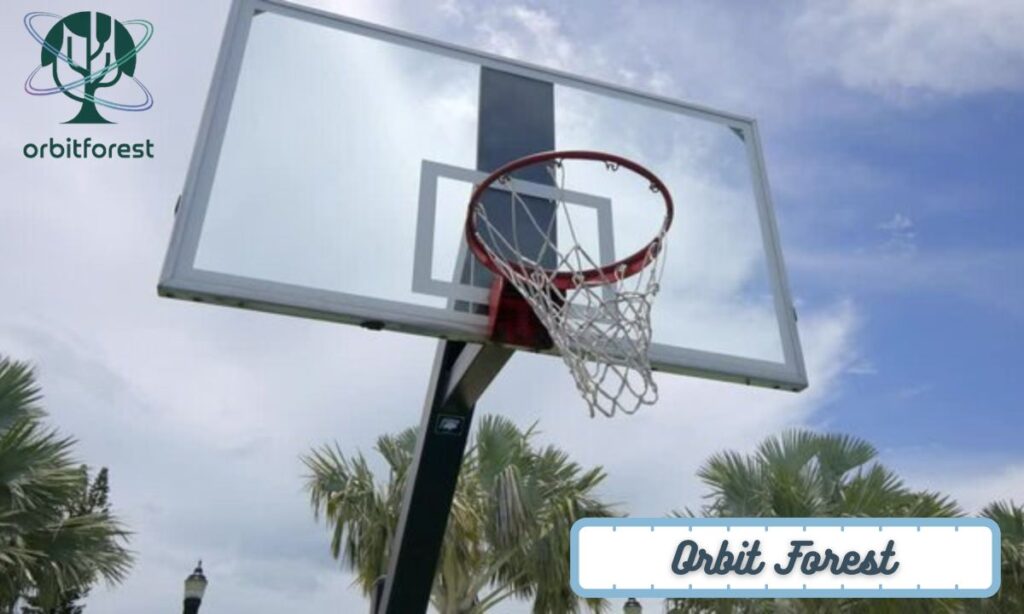 10 Basketball Hoop