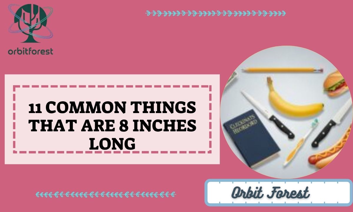 11 Common Things That Are 8 Inches Long