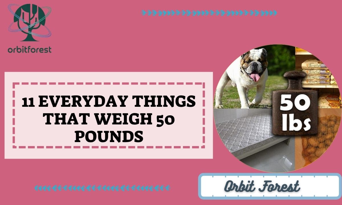 11 Everyday Things That Weigh 50 Pounds