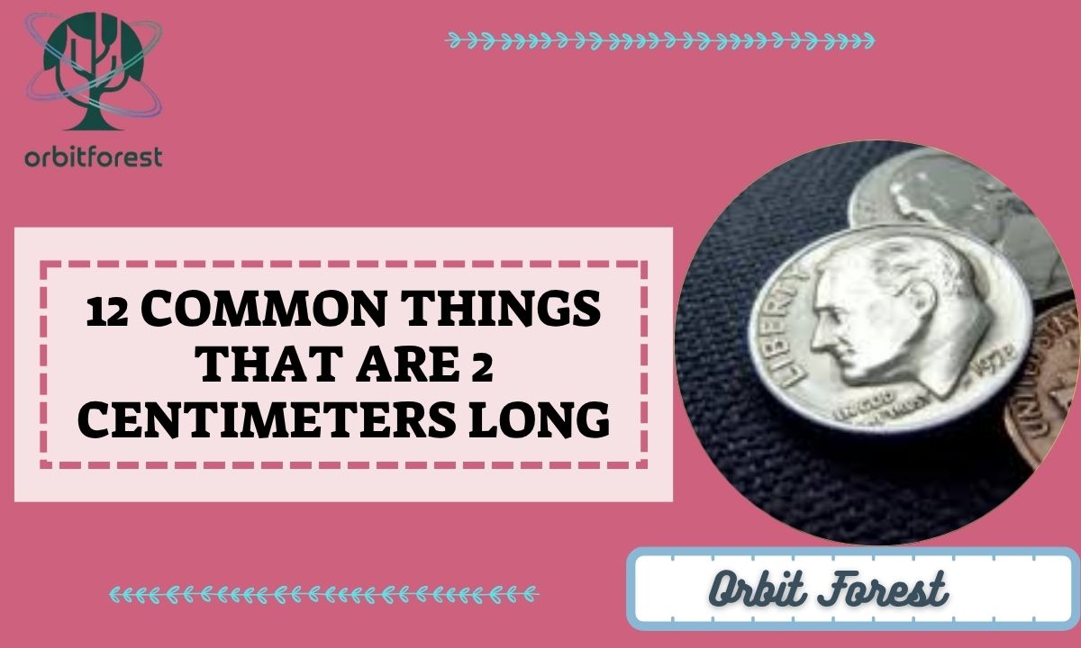 12 Common Things That Are 2 Centimeters Long