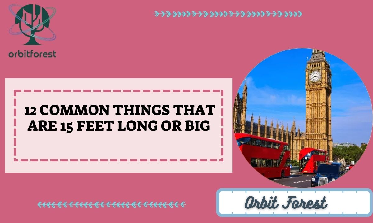 12 Common Things That Are 15 Feet Long or Big