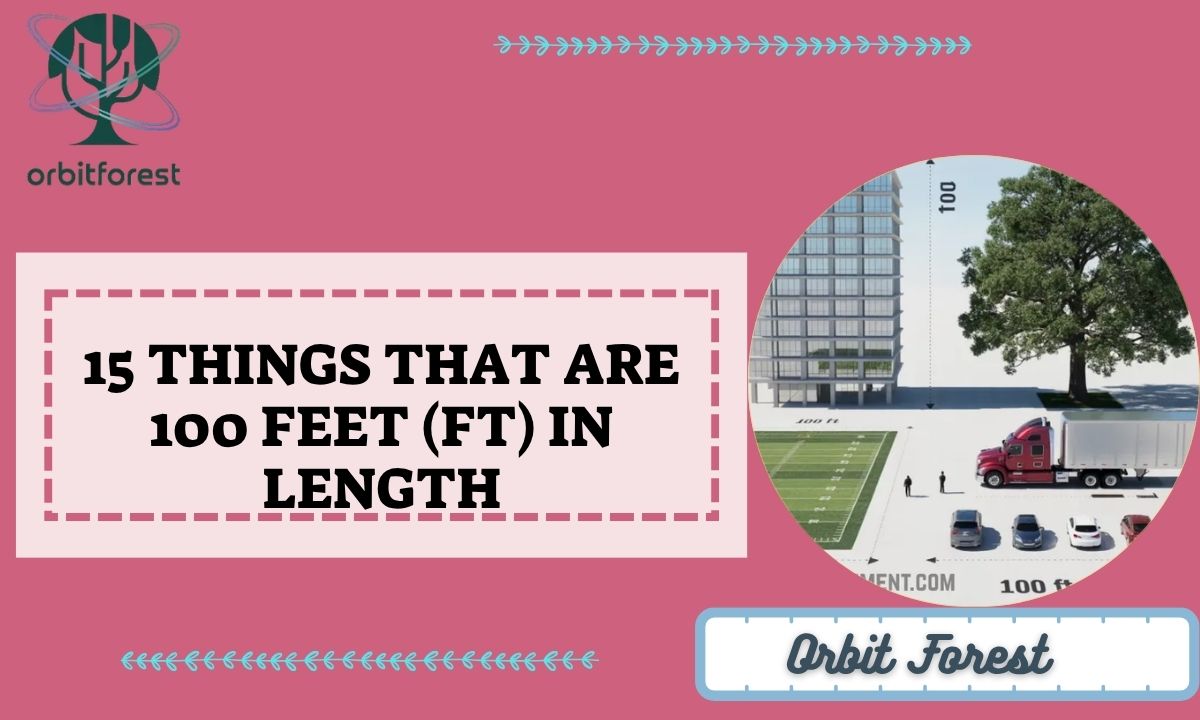 15 Things That Are 100 Feet (ft) In Length