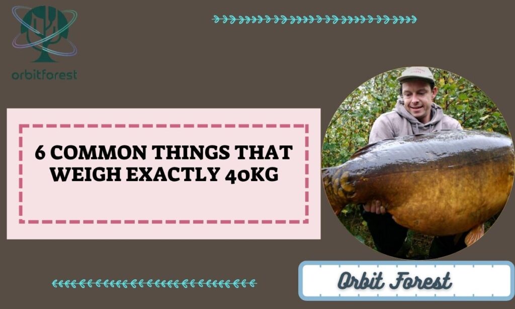 6 Common Things That Weigh Exactly 40kg