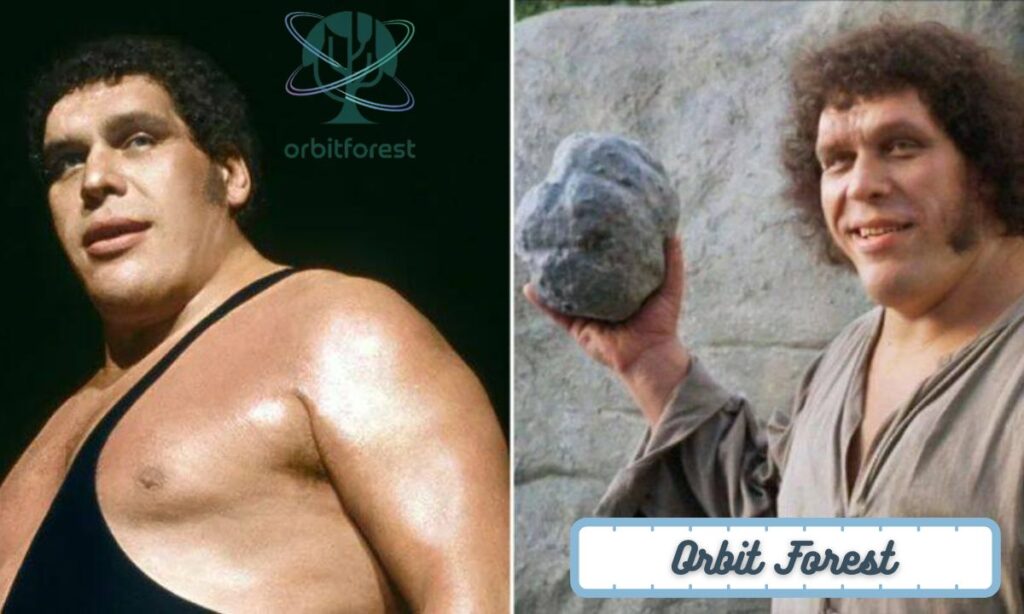 7. Twice The Length of André the Giant