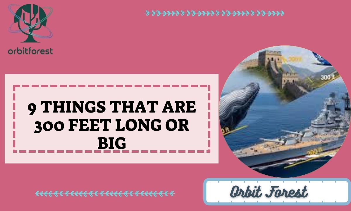 9 Things That Are 300 Feet Long Or Big