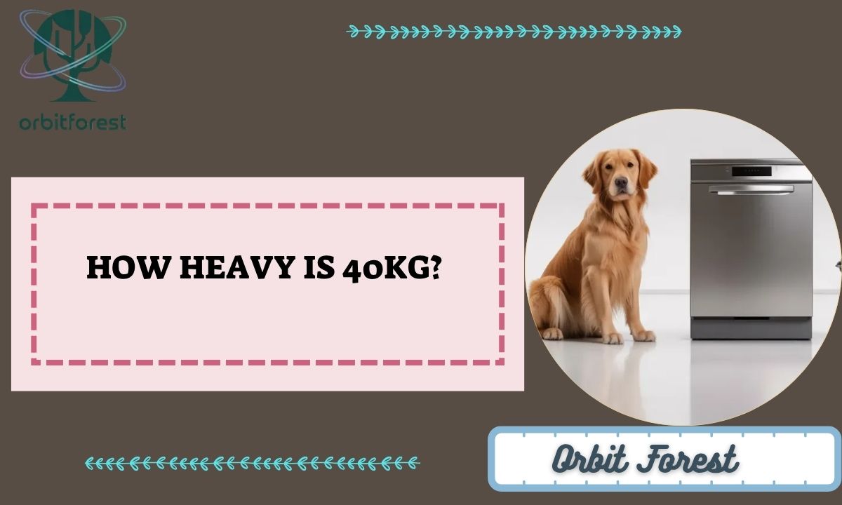 How Heavy Is 40kg? 6 Things That Match It Perfectly