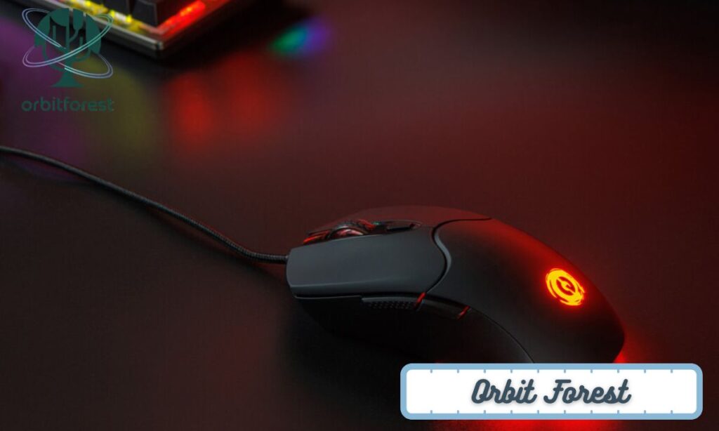 A Computer Mouse