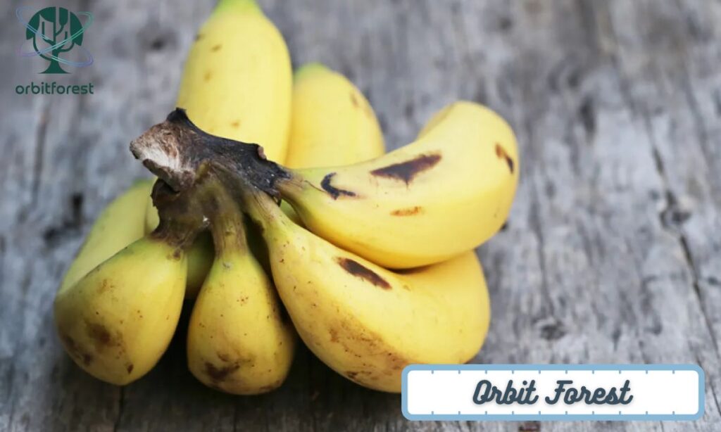 A Medium-Sized Banana