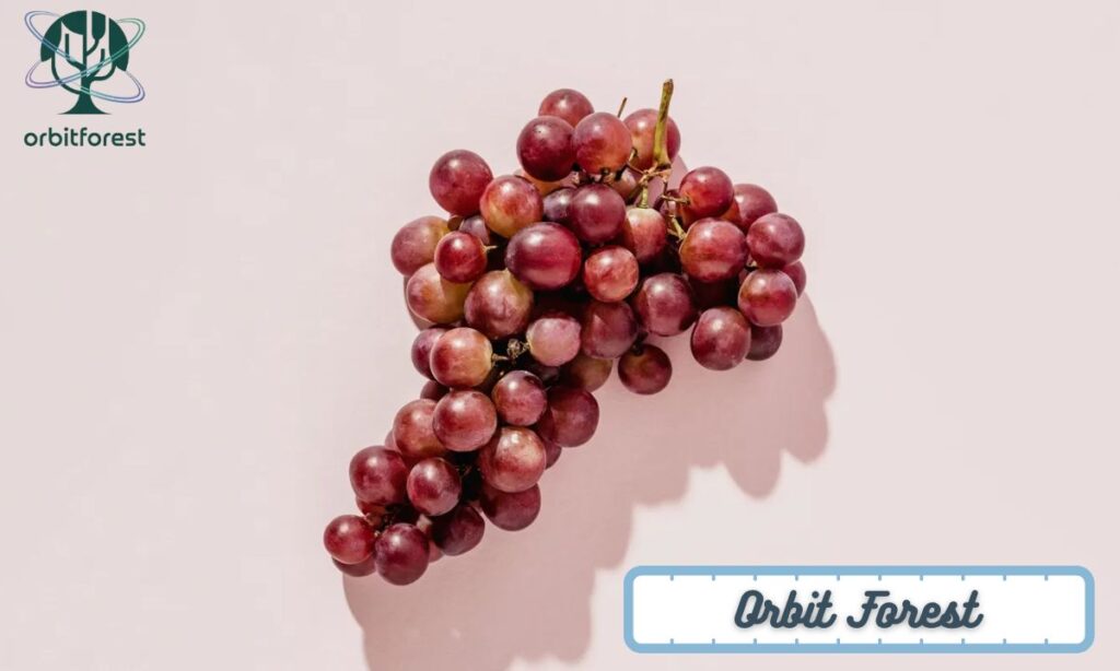 A Small Bunch Of Grapes