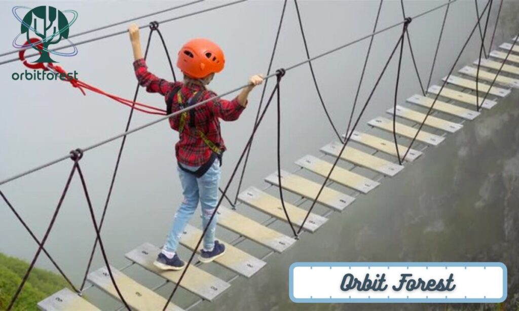 A Small Rope Bridge or Zipline