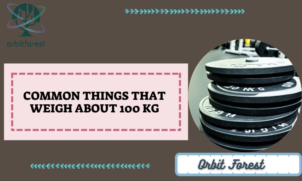Common Things That Weigh About 100 Kg