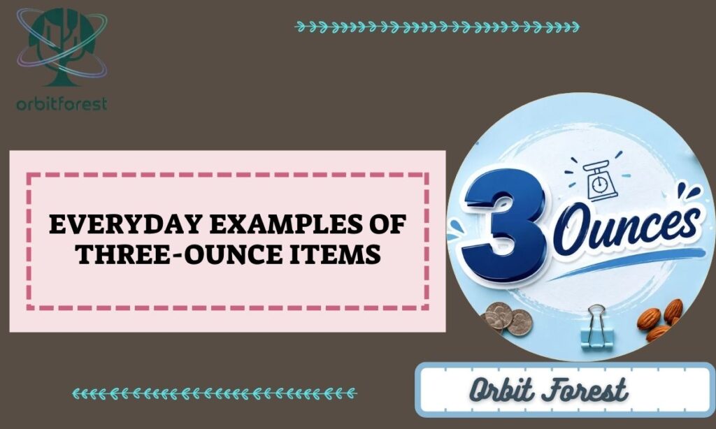 Everyday Examples of Three-Ounce Items