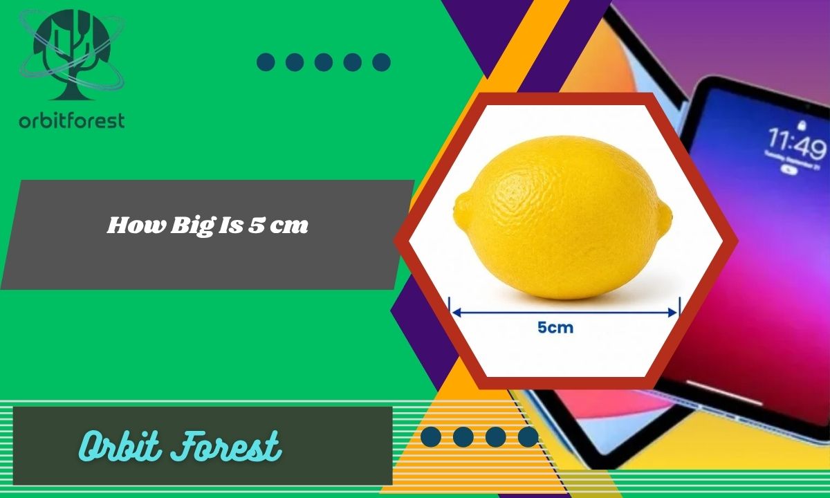 How Big Is 5 cm? Easy Real-Life Size Examples Guide