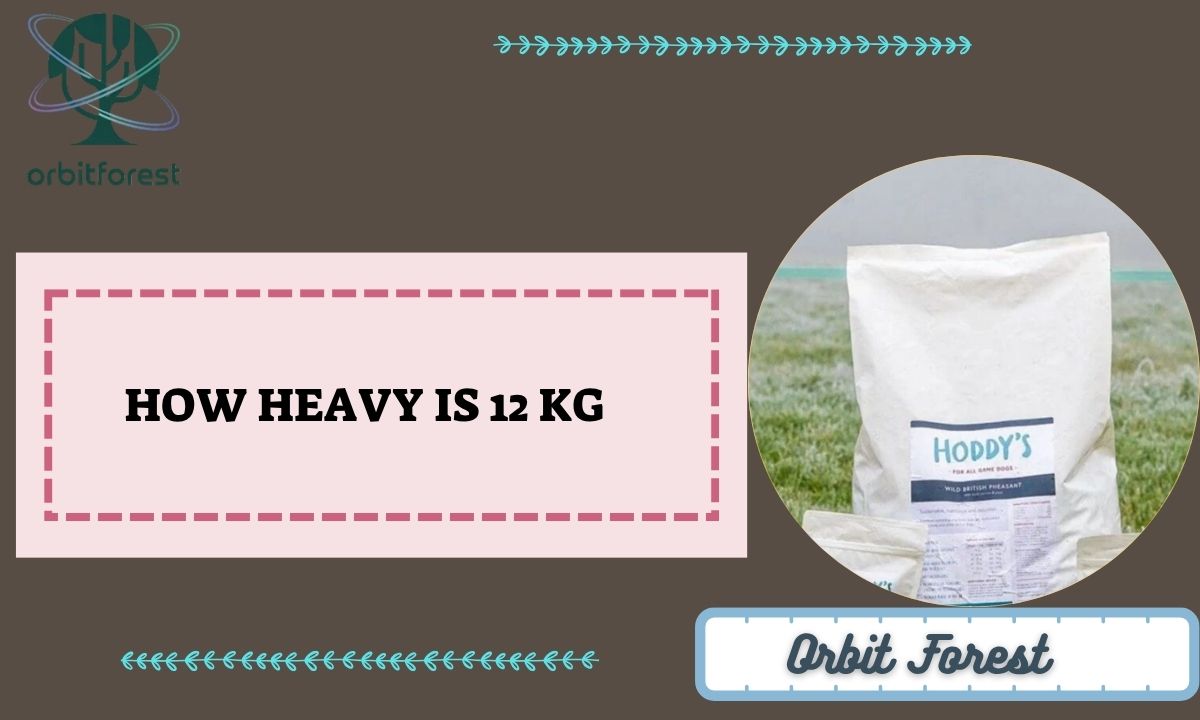 How Heavy Is 12 kg? 6 Most Common Things That Weigh 12 Kilograms