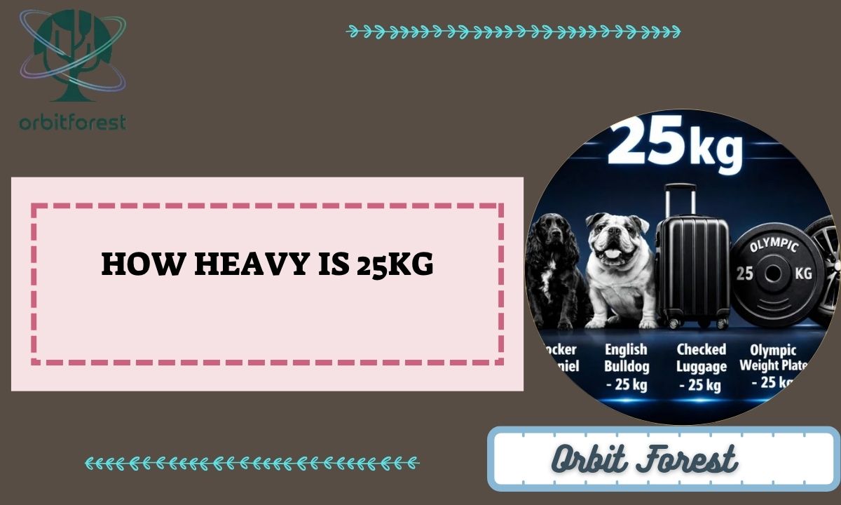 How Heavy Is 25kg? 6 Things That Match It Perfectly