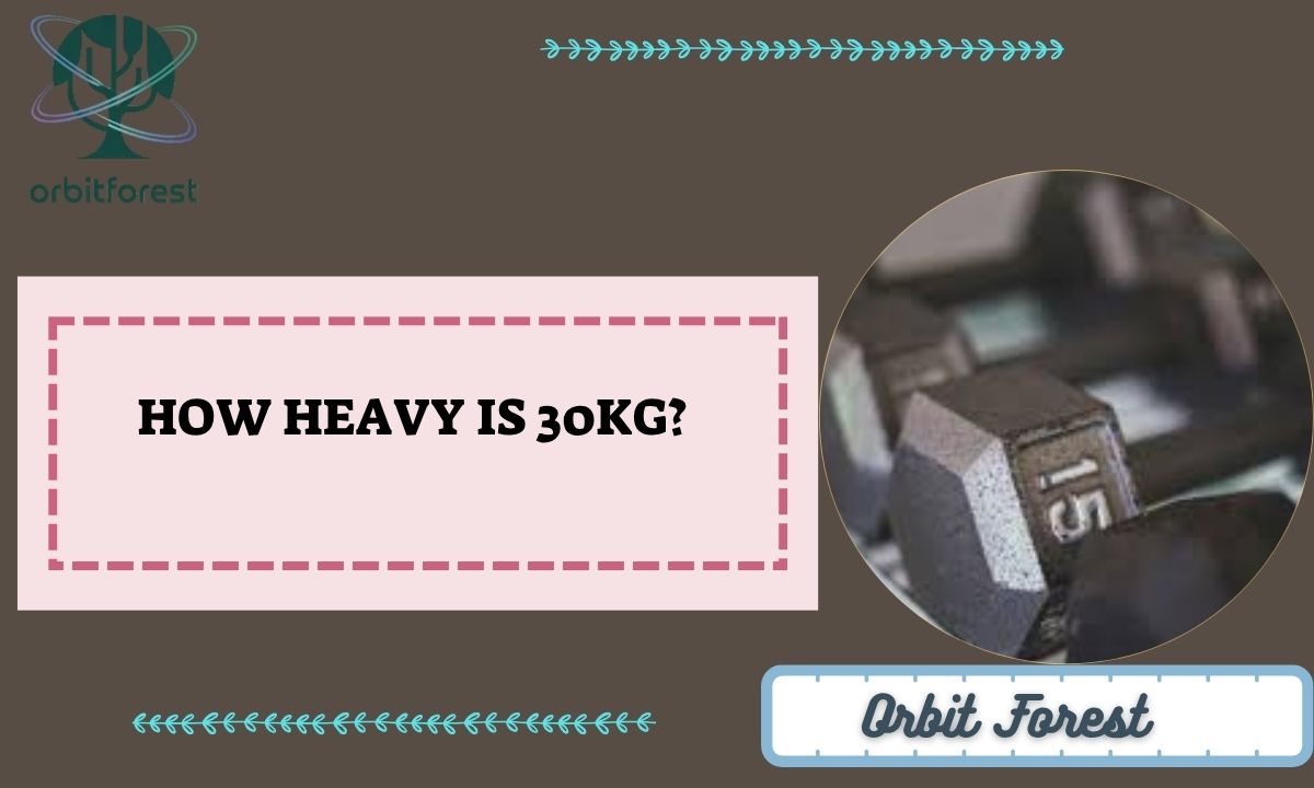 How Heavy Is 30kg? 6 Things That Match It Perfectly