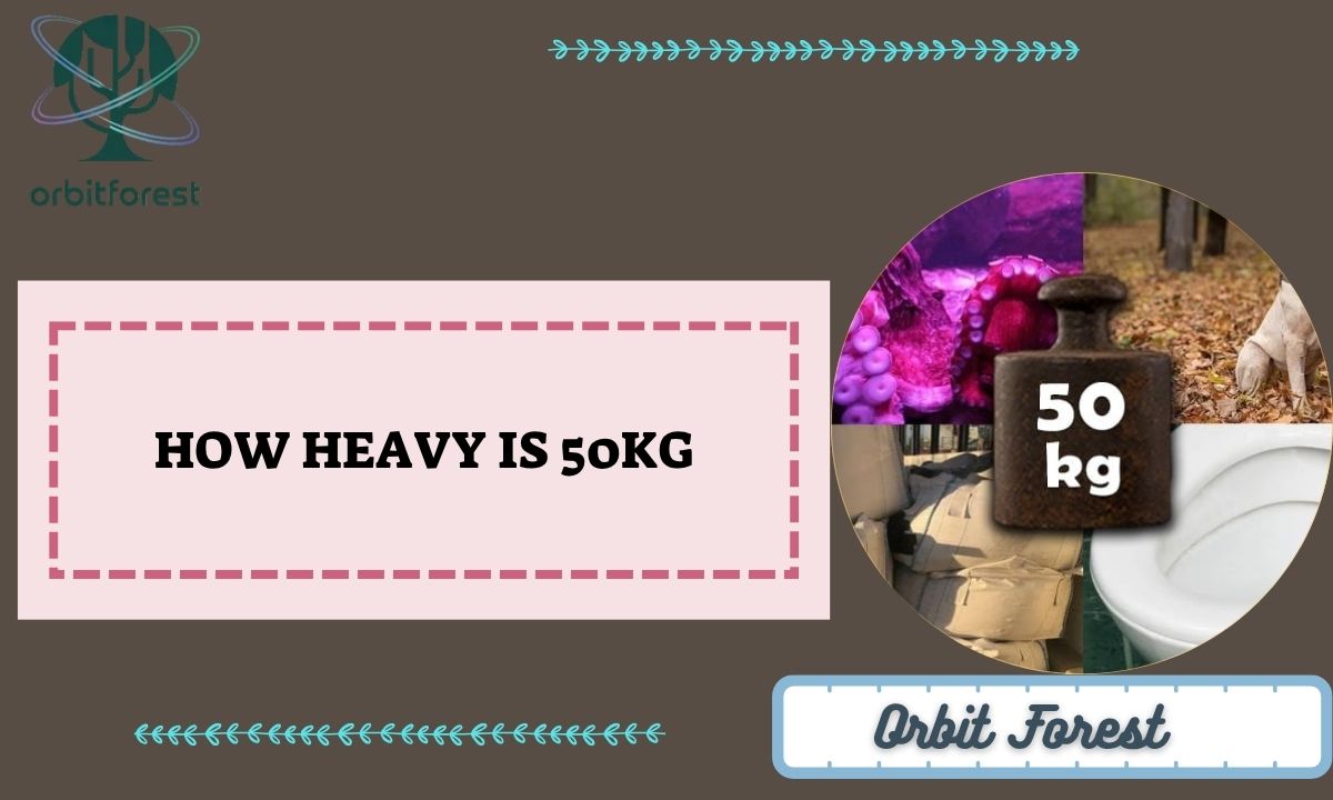 How Heavy Is 50kg? 6 Things That Match It Perfectly
