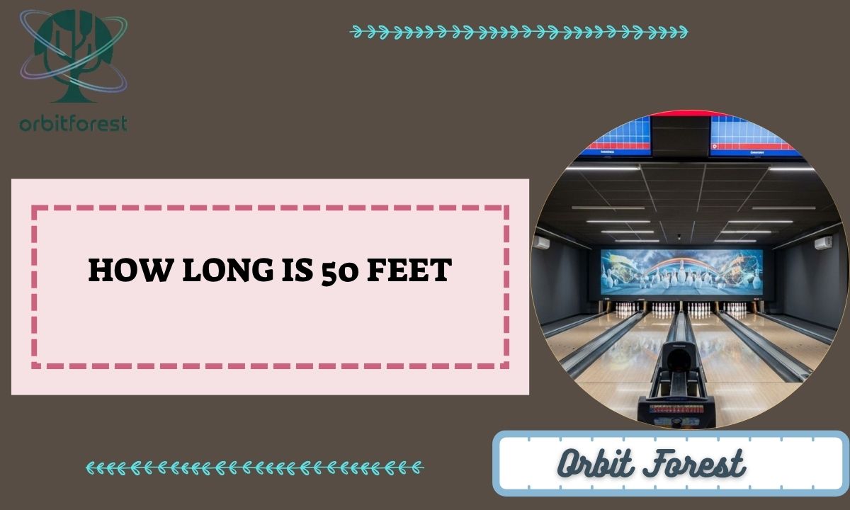 How Long Is 50 Feet? 11 Most Common 50 Feet Comparisons
