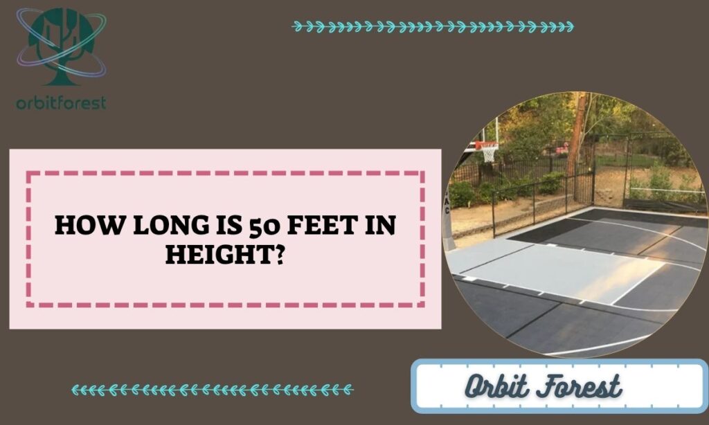 How Long Is 50 Feet in Height?