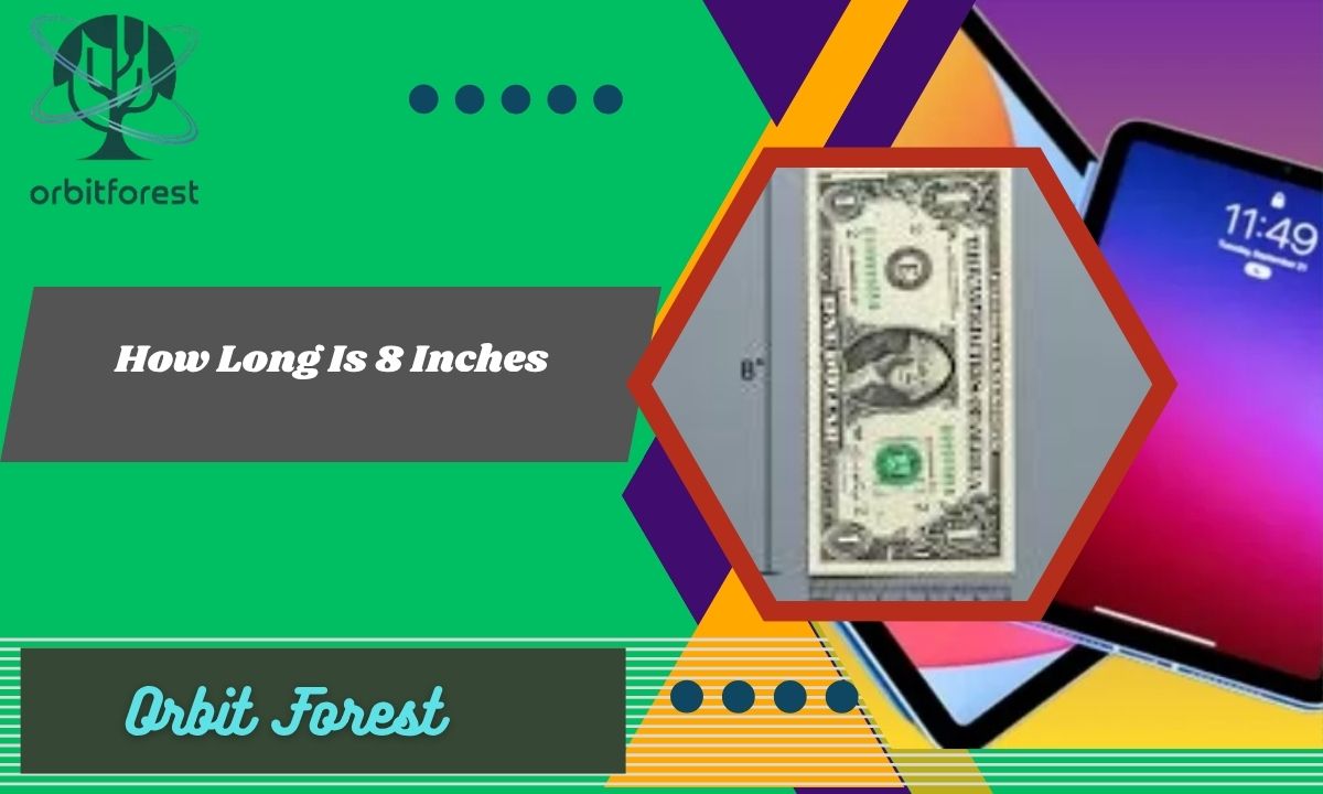 How Long Is 8 Inches? 15 Common Things That Are 8 Inches Long