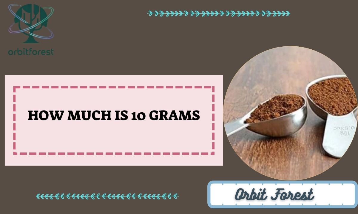 How Much Is 10 Grams? 11 Common Things That Weigh 10 G