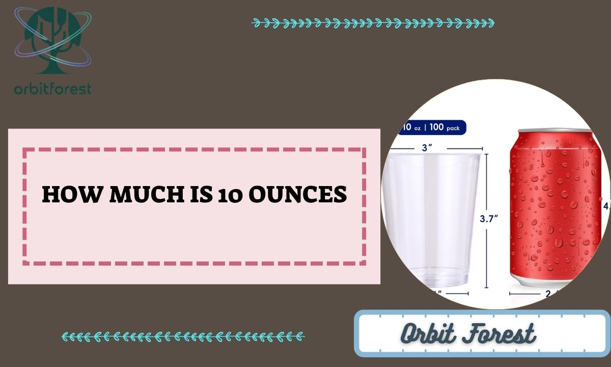 How Much Is 10 Ounces? 12 Common Things That Weigh 10 Oz