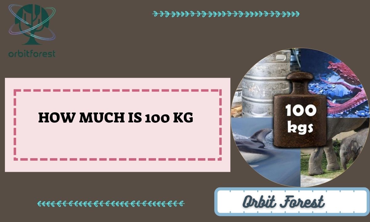 How Much Is 100 Kg? 9 Common Things That Weigh 100Kg