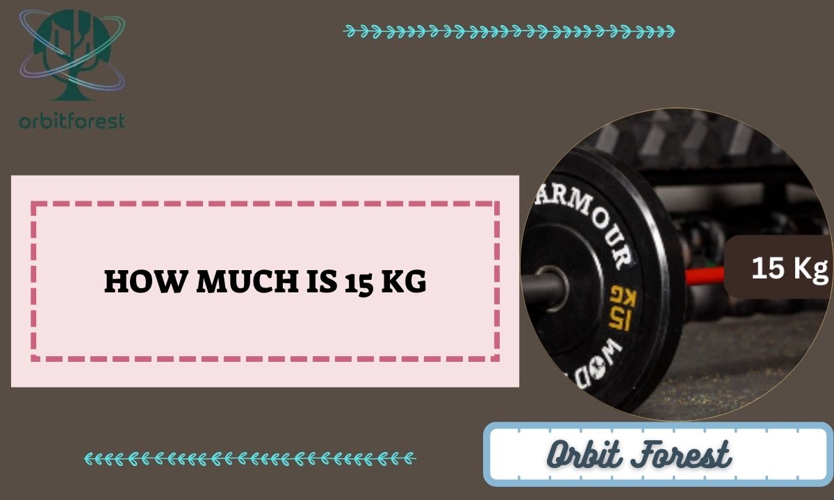 How Much Is 15 Kg? 10 Common Things That Weigh About 15 Kg