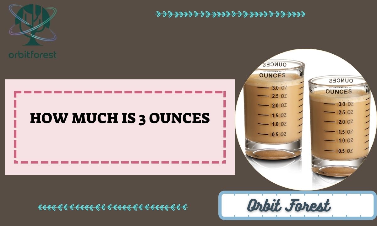 How Much Is 3 Ounces? 11 Common Things That Weigh 3 Oz