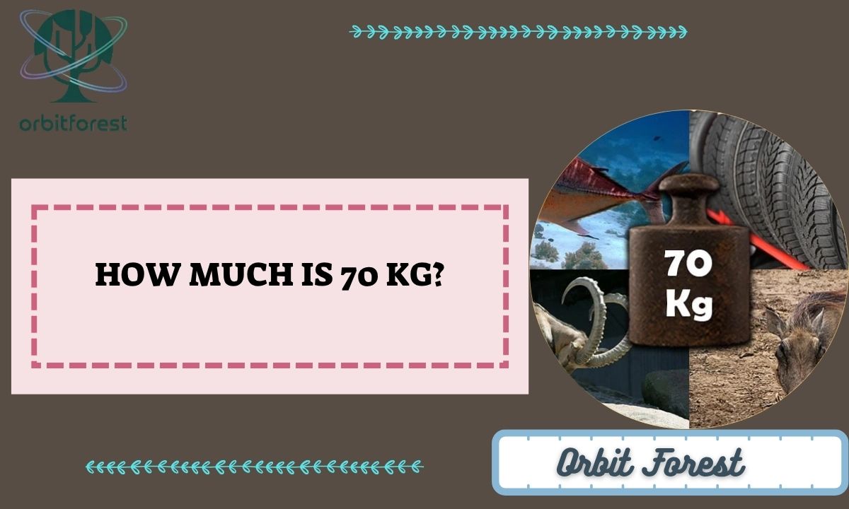 How Much Is 70 Kg? 9 Common Things That Weigh About 70 Kg