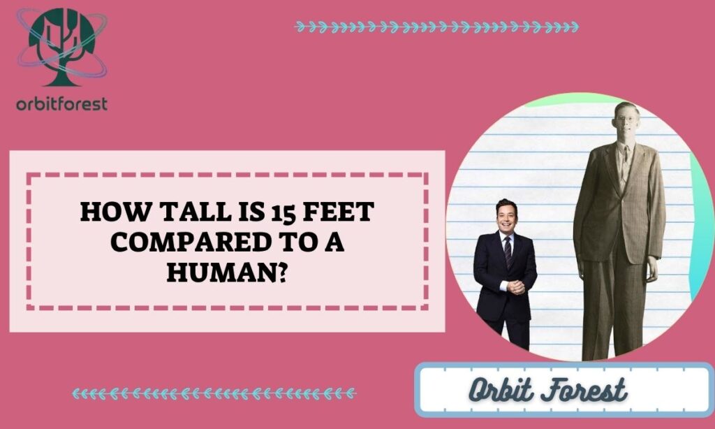 How Tall is 15 Feet Compared to a Human