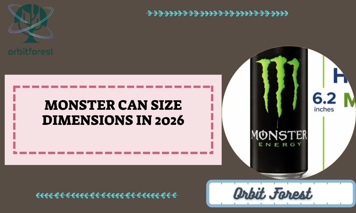 Monster Can Size Dimensions in 2026
