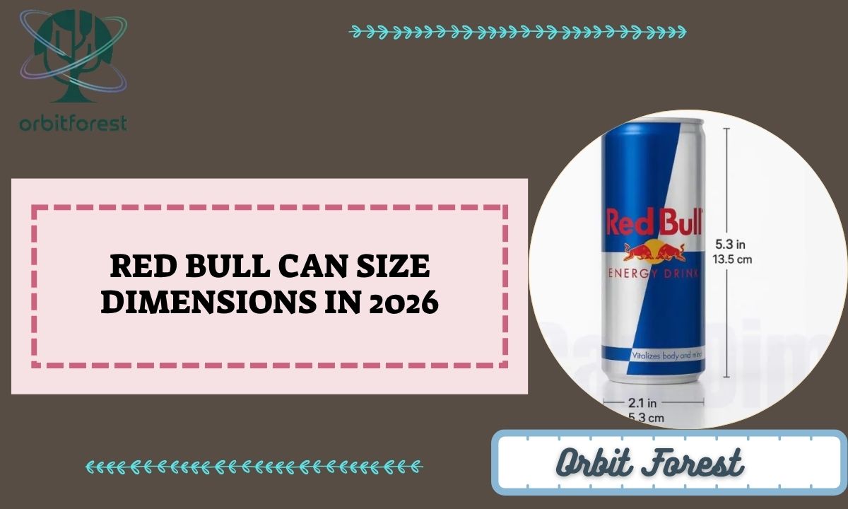 Red Bull Can Size Dimensions In 2026