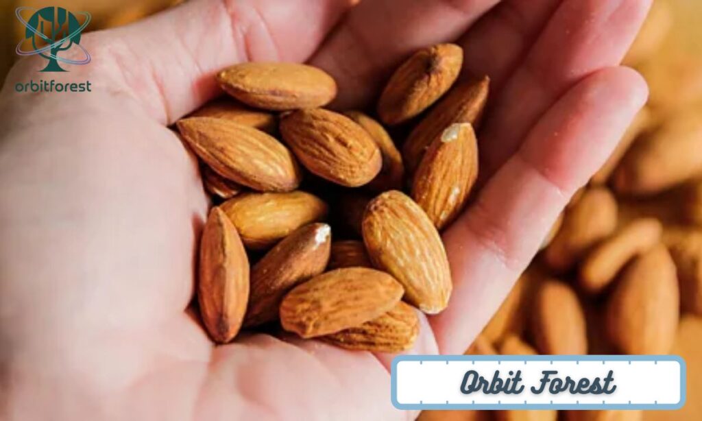 Seven Almonds