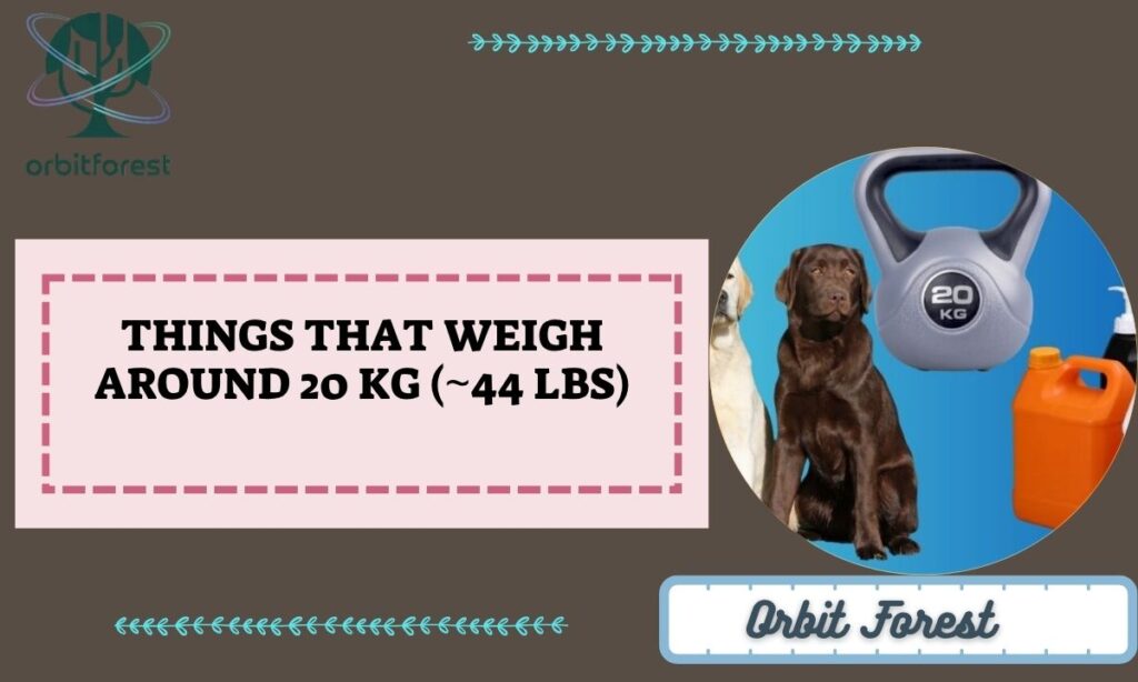 Things That Weigh Around 20 kg (~44 lbs)