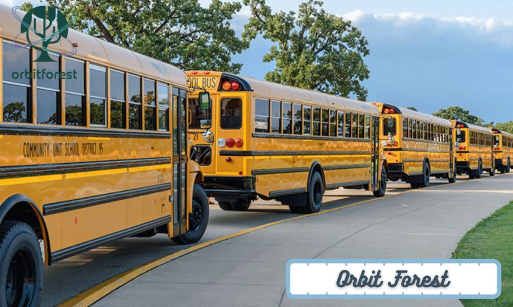 Two School Buses Parked End to End