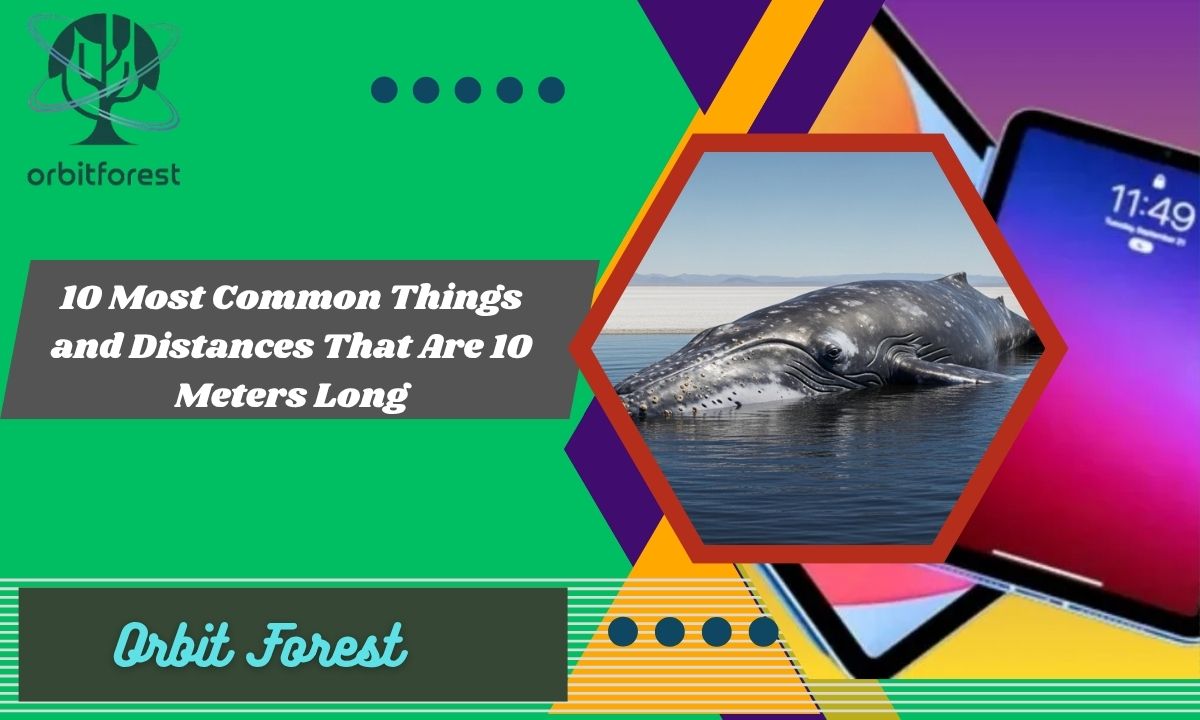 10 Most Common Things and Distances That Are 10 Meters Long